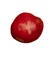 Cherry 1