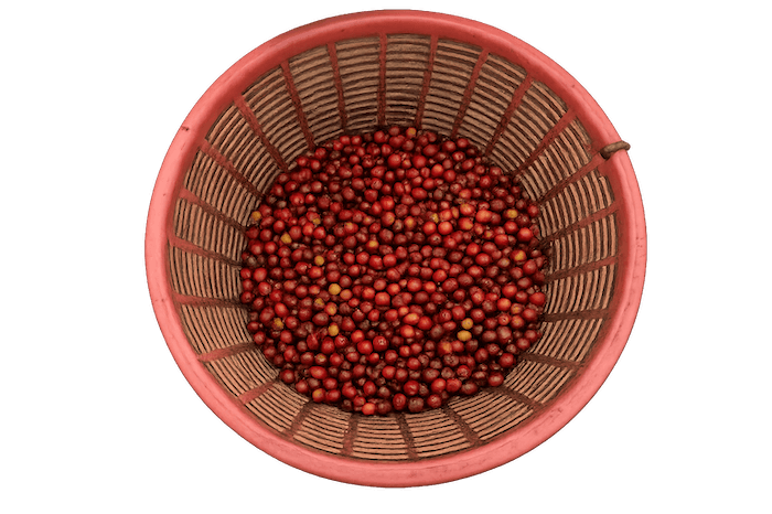 Coffee Basket